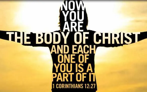 body of christ diagram living in isolation biblical counseling