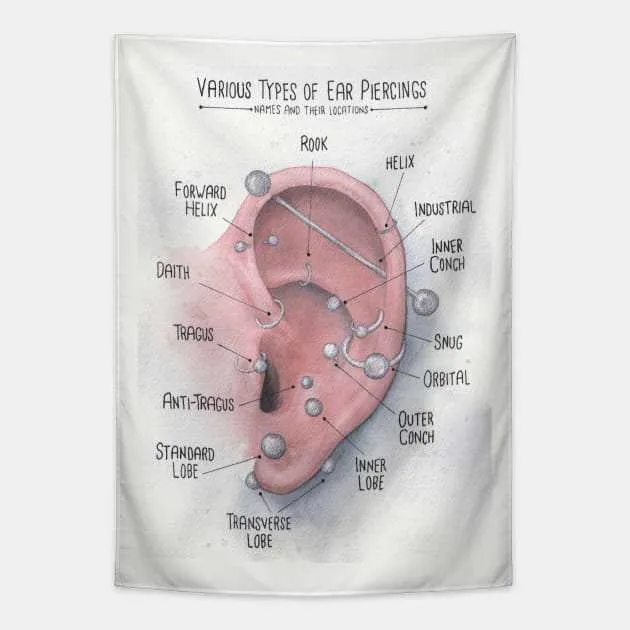 ear piercing diagram with names