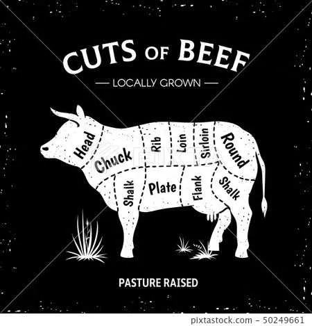 cuts of beef diagram poster