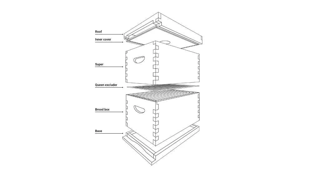 diagram of a beehive