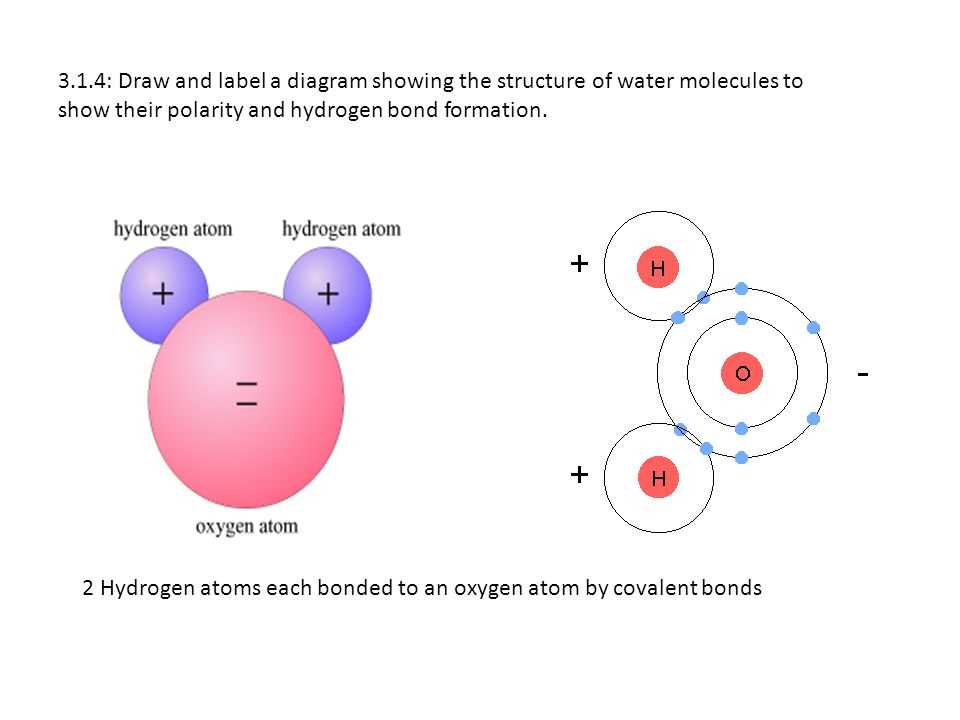 Diagram of an atom with labels