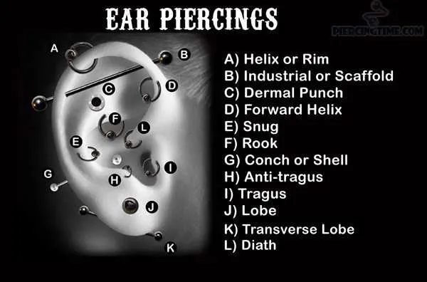 ear piercing diagram with names