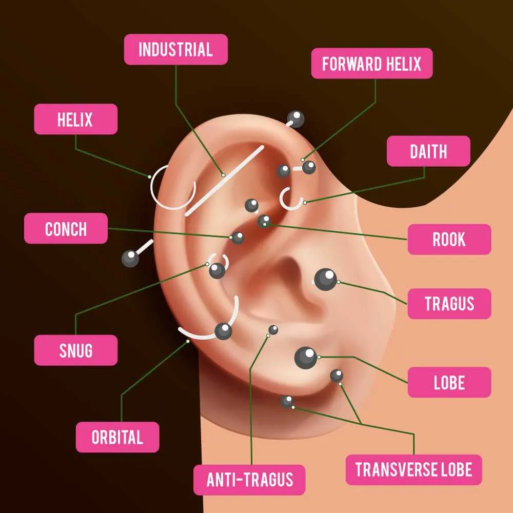 ear piercing diagram with names