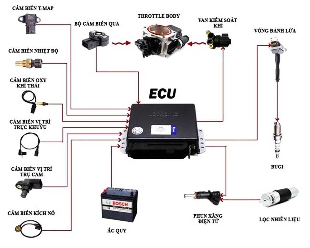 Troubleshooting Ecu Master Wiring Issues