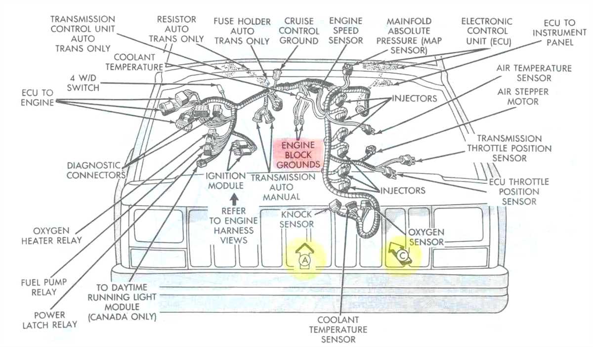 Step 3: Identify and Label the Wiring