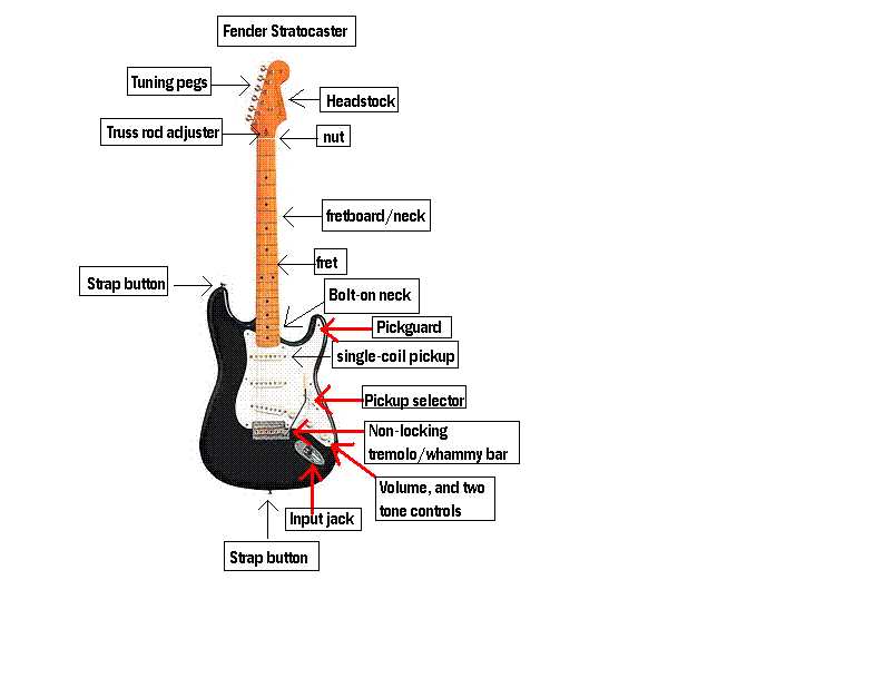 2. Fretboard