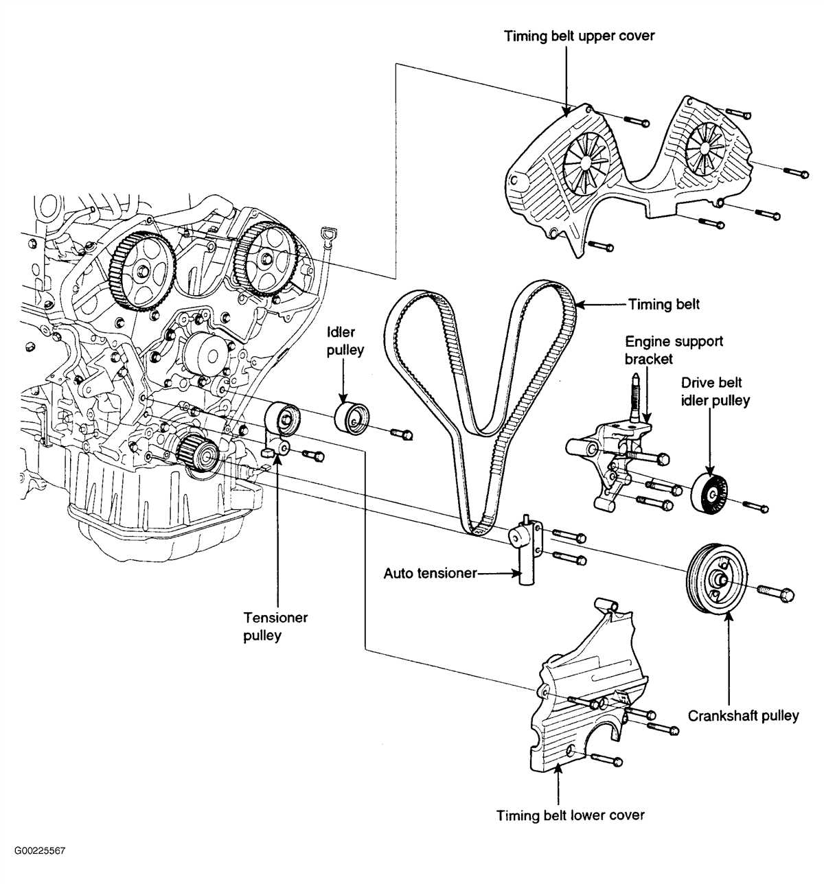 How to Read and Interpret the Belt Diagram