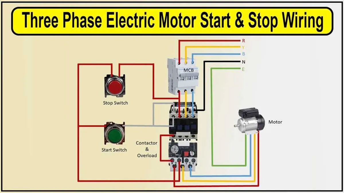 3 phase electric motor diagram