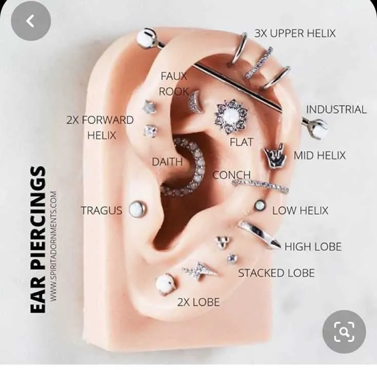 ear piercing diagram with names