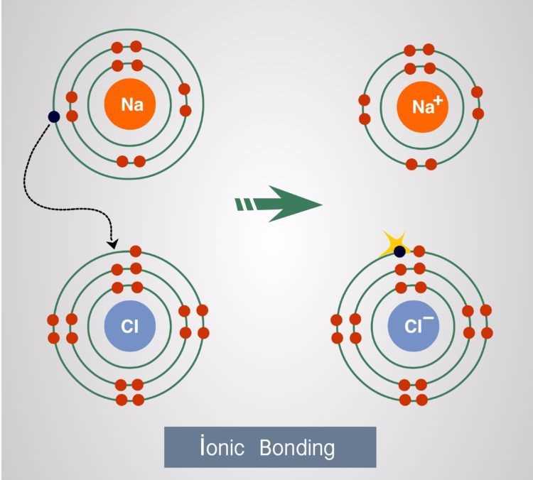 Electron Distribution in Magnesium Chloride