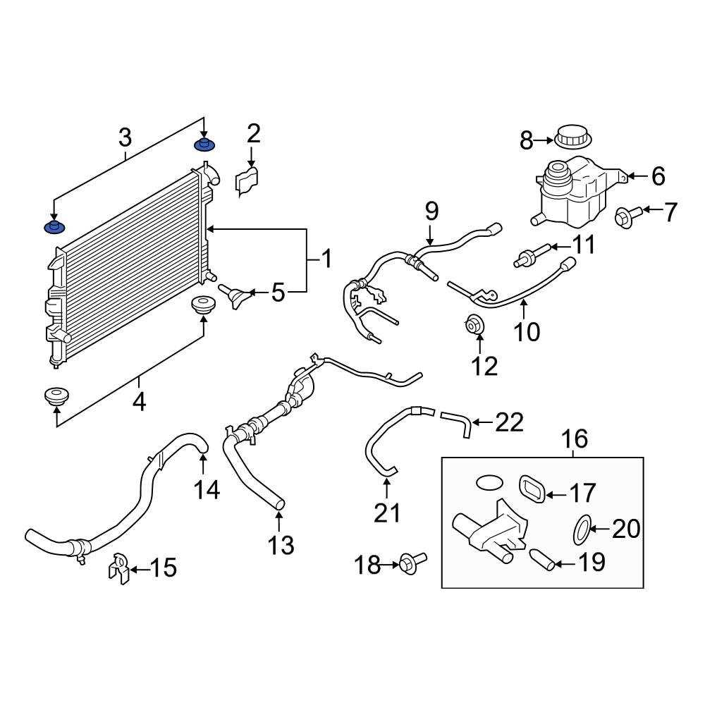 Lower Radiator Hose: