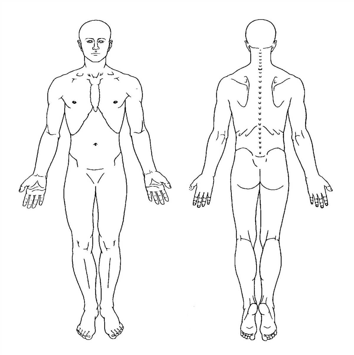 Pain chart diagram