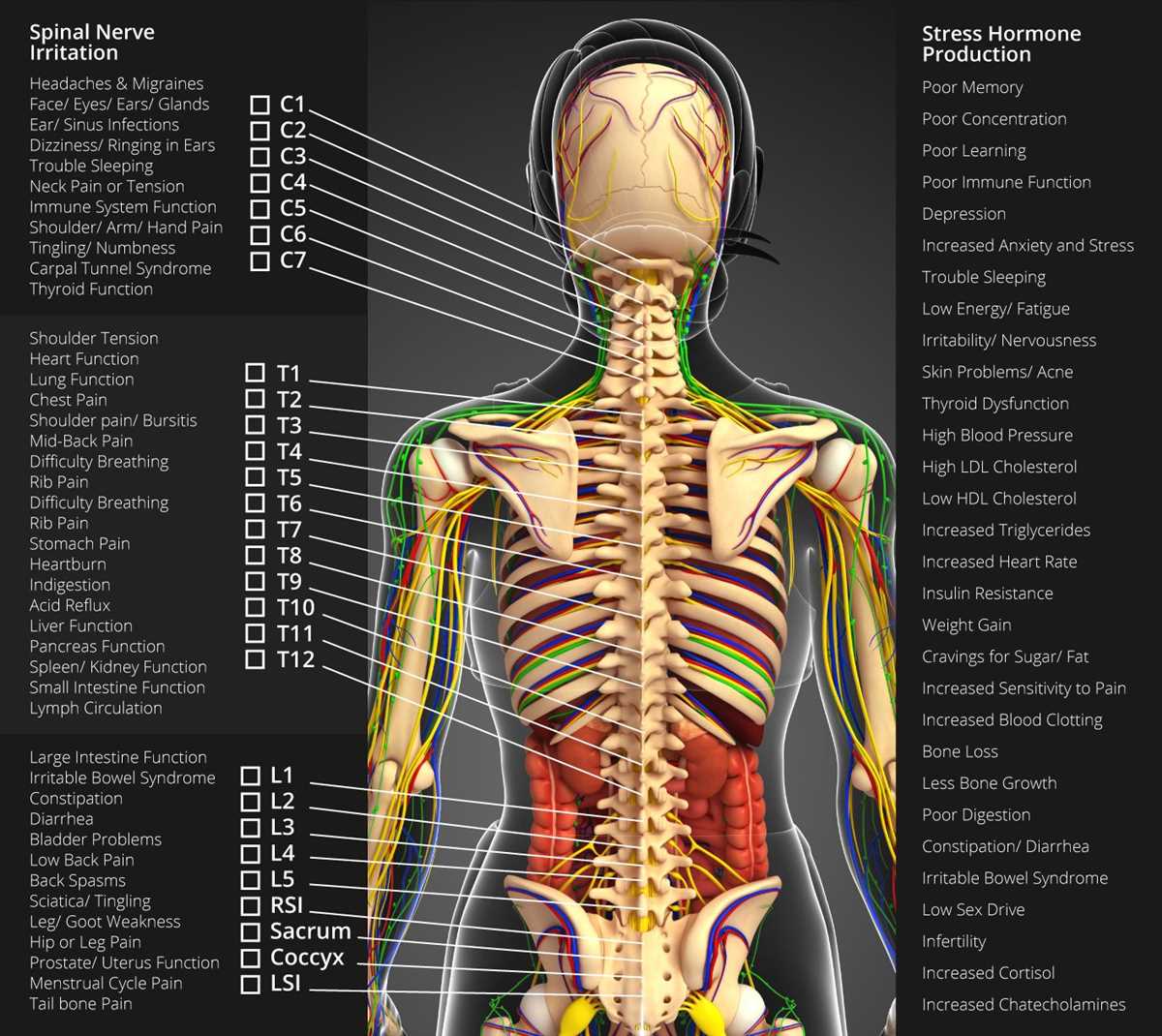 How to Interpret a Pain Chart Diagram