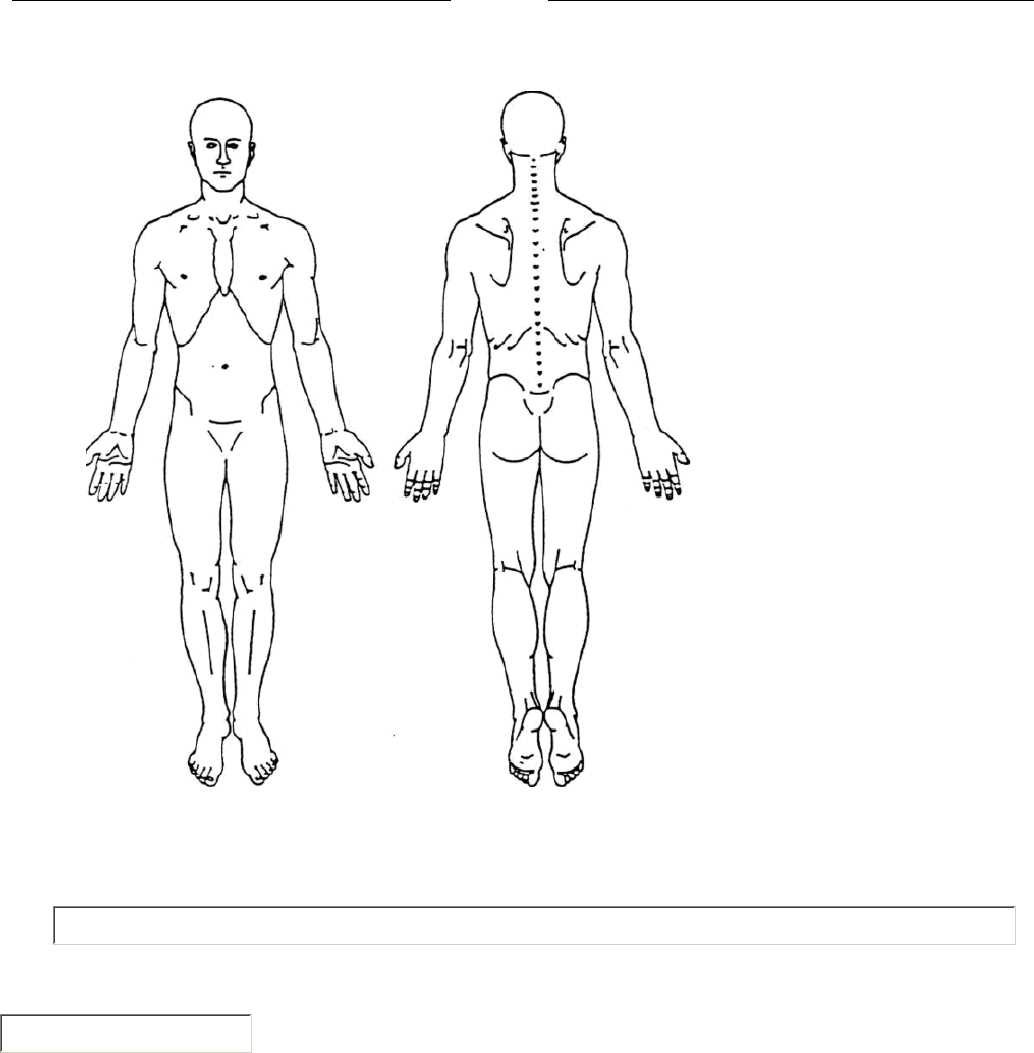 Pain Chart Diagram: Understanding Pain Levels and Symptoms