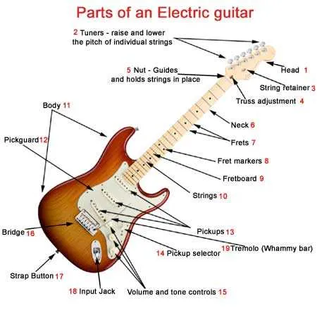 parts of a guitar diagram acoustic