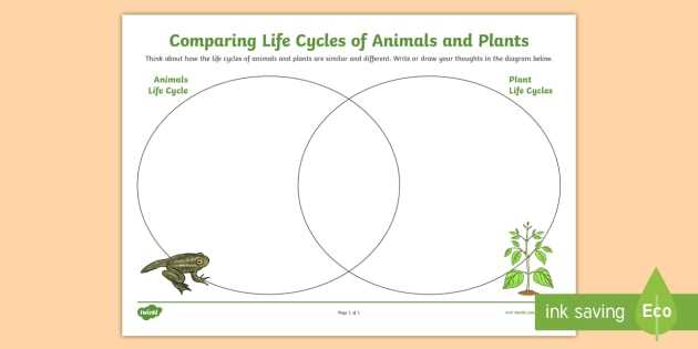 What is a Plant and Animal Venn Diagram?