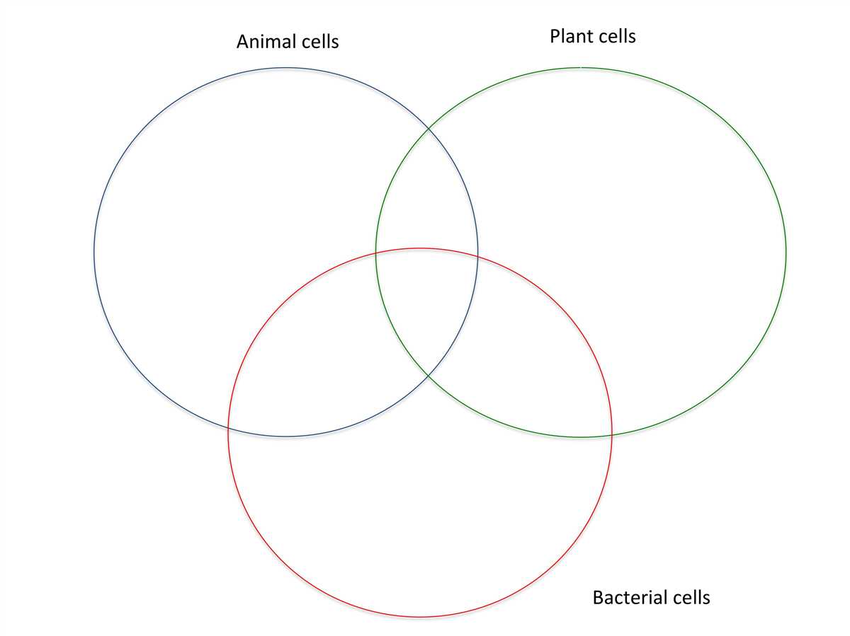 Key Similarities Between Plants and Animals