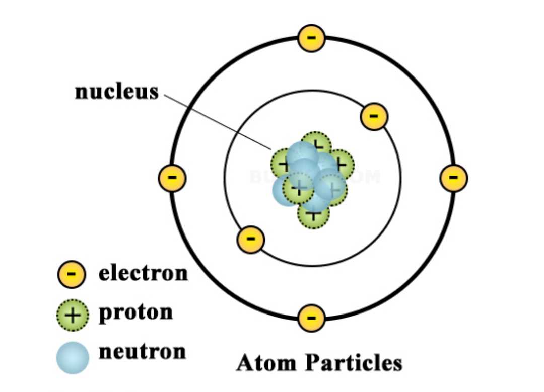 Atomic Nucleus