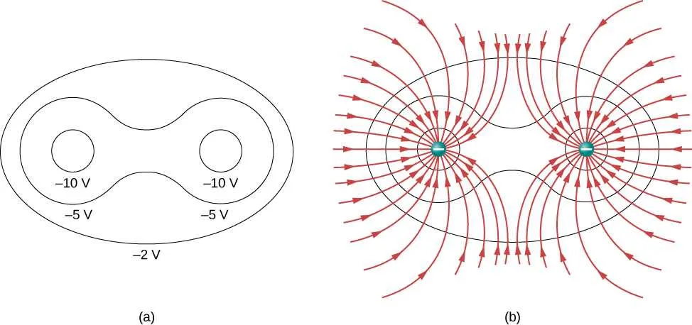 the diagram shows the electric field lines around two charges.