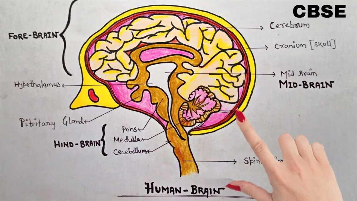 3. Create mnemonics