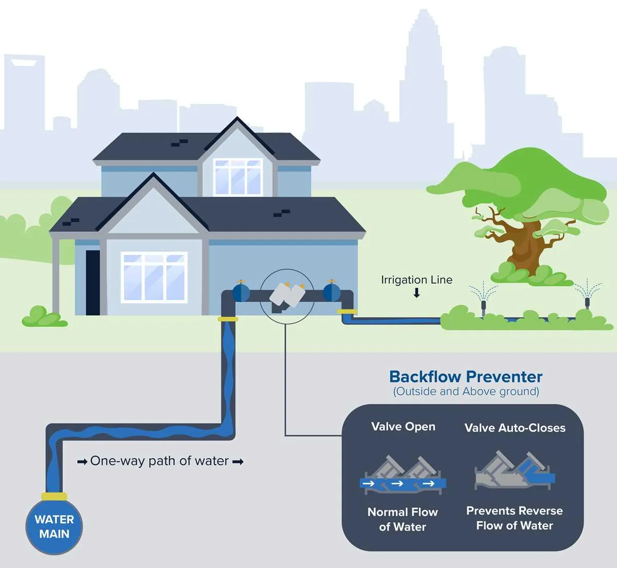 residential backflow preventer diagram