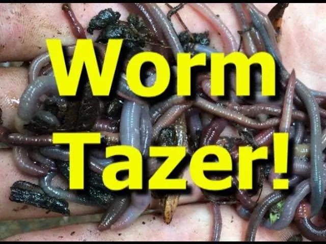worm shocker wiring diagram