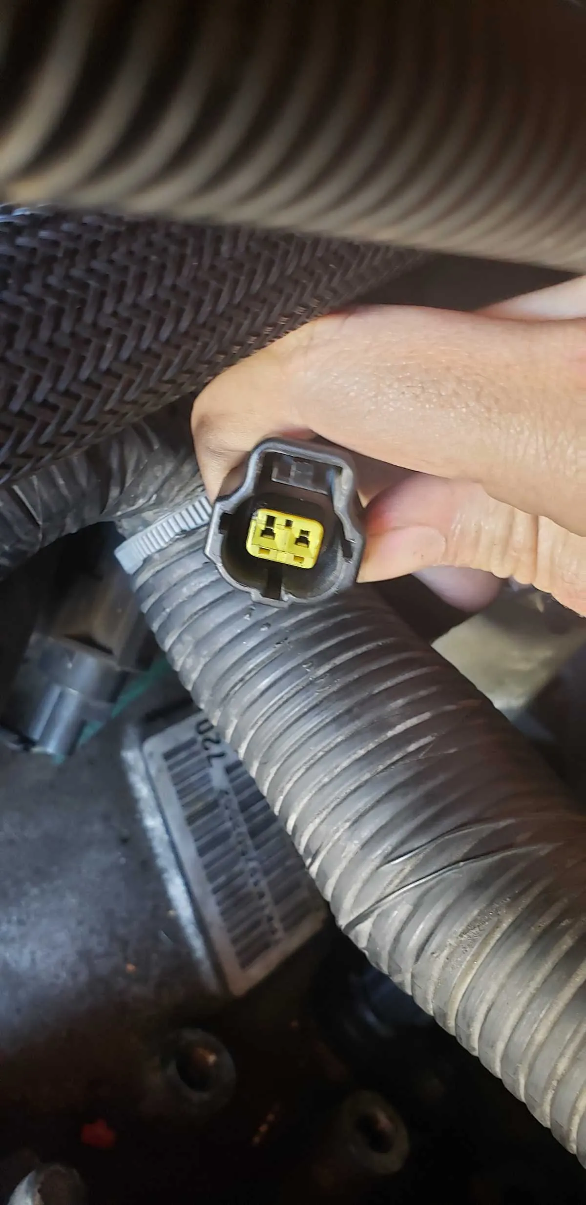 2016 dodge journey 3.6 belt diagram