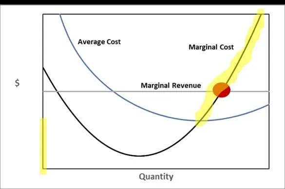 the diagram depicts the cost curves and the marginal revenue