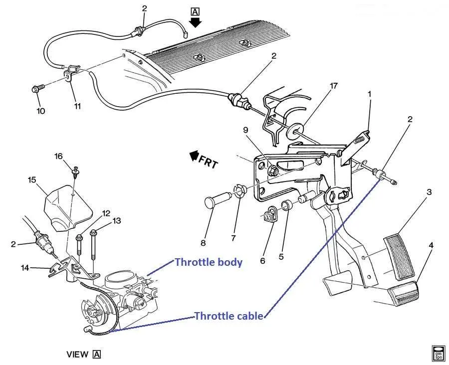 throttle body cable diagram
