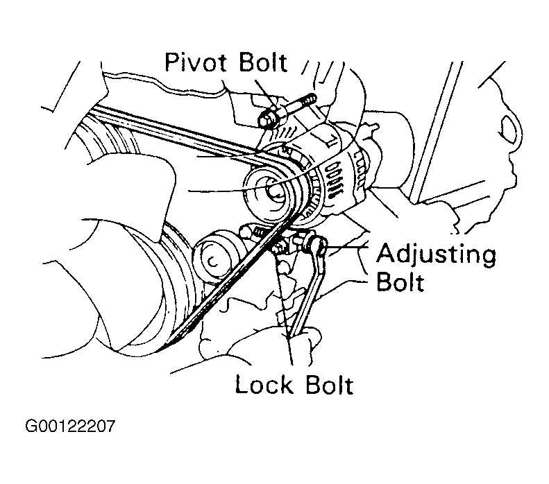 2. Identify the Different Belts: