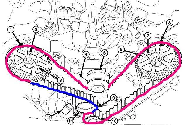 Common Issues and Troubleshooting for the Belt System