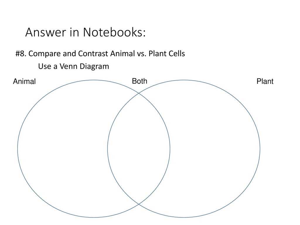 Cell Structure and Organization: