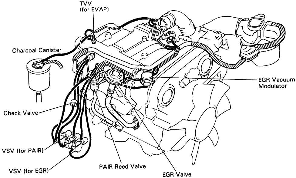 Exploring the Brake Cables and Levers