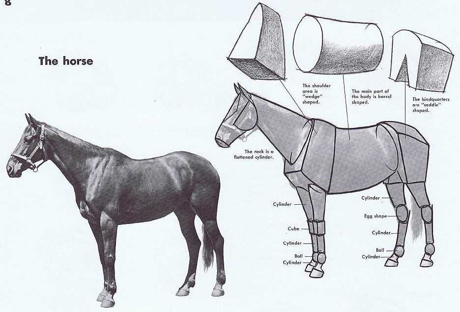 Troy bilt horse diagram