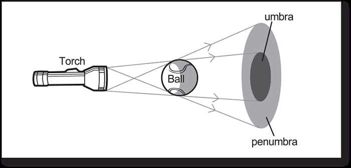 Choosing the right flashlight for your needs