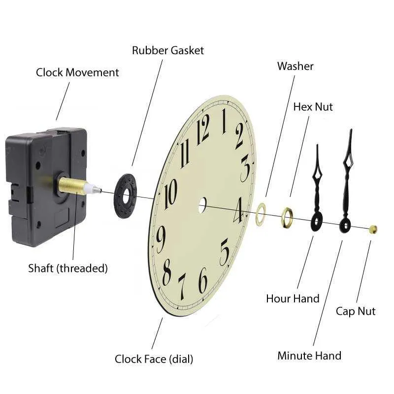 watch diagram part by part