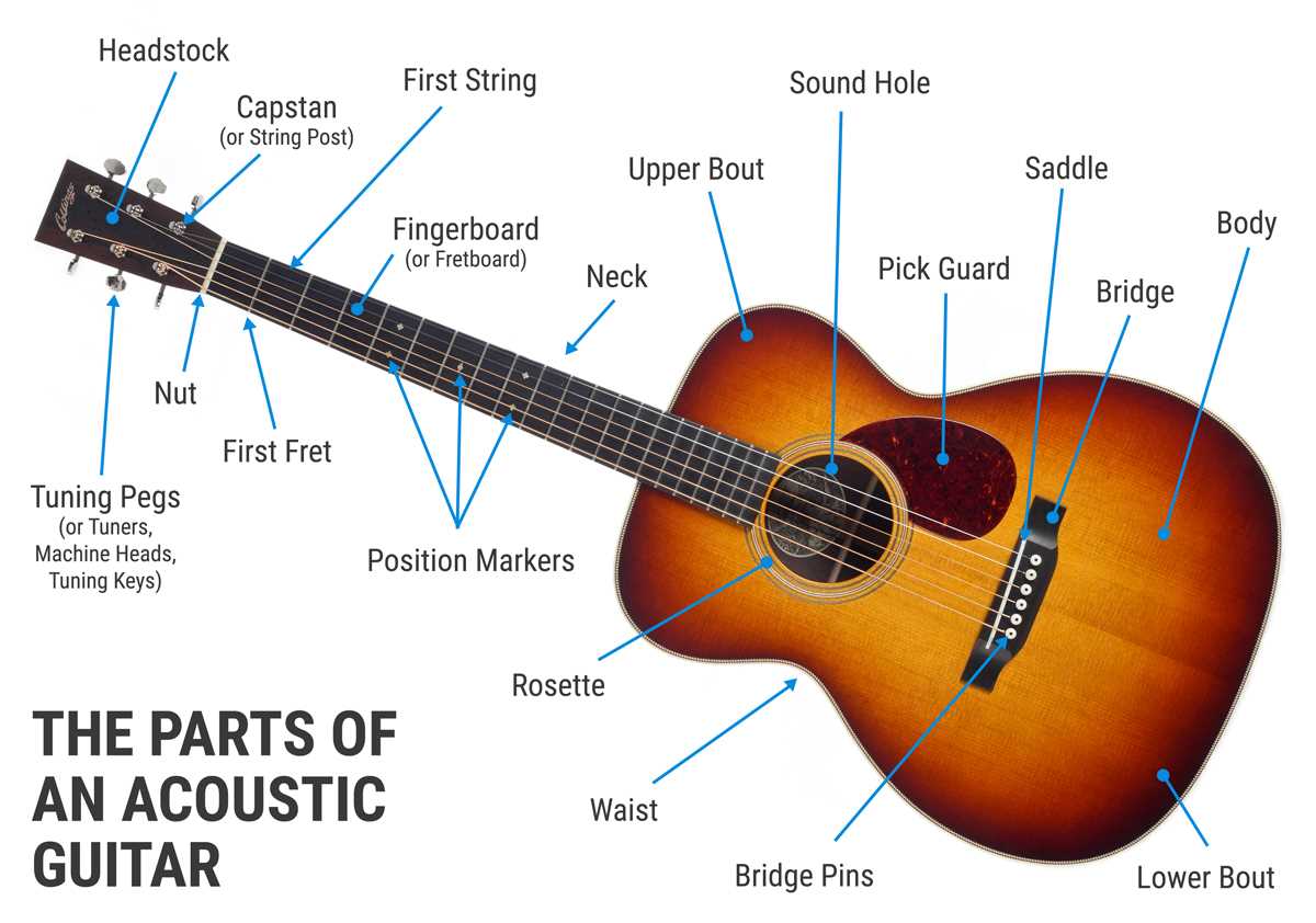 Fender Guitar Neck Parts Diagram