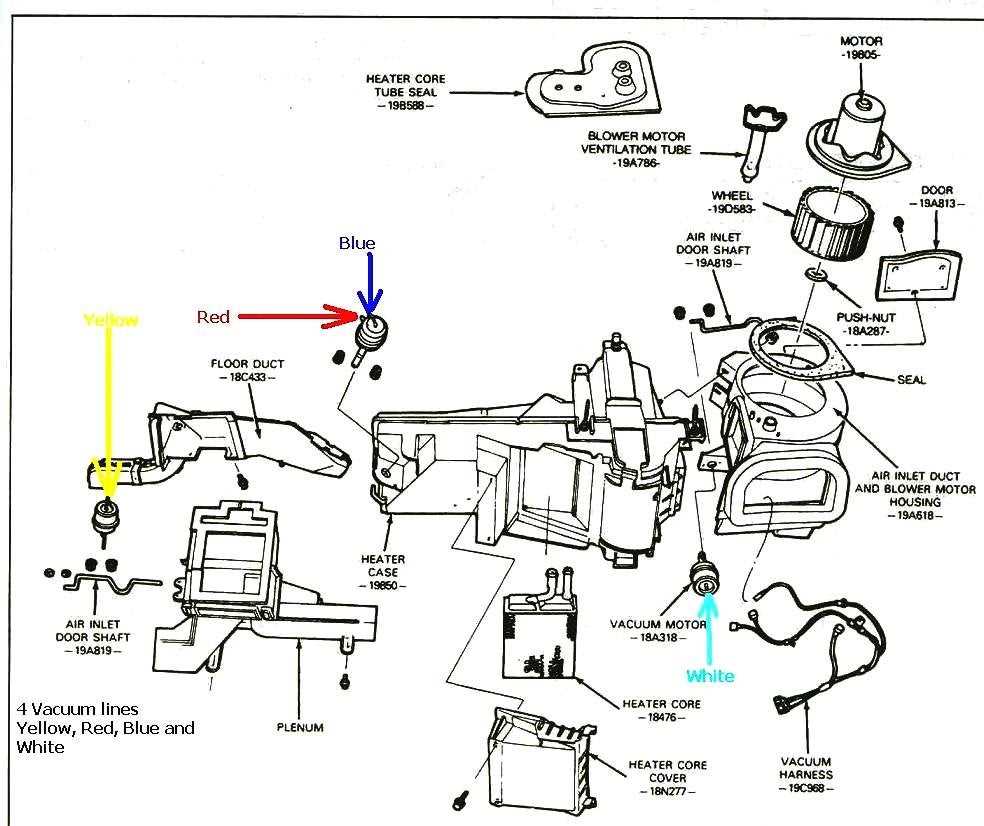 5. Check the Vacuum Check Valve