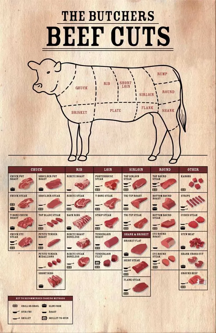 cuts of beef diagram poster
